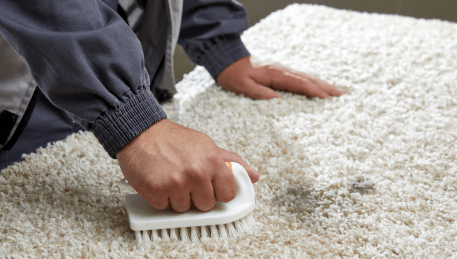 Professional Rug Cleaning Clifton Hill